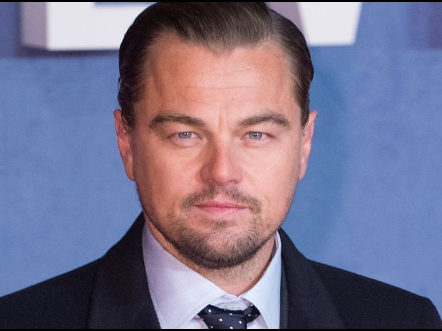 Leonardo Dicaprio photo