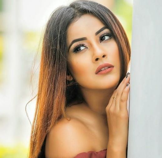 Shehnaz Kaur Gill photo